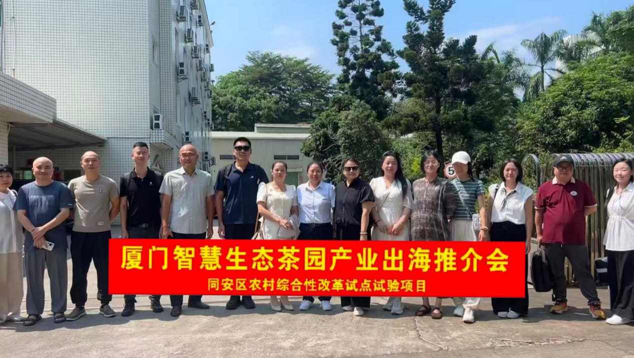 厦门智慧生态茶园产业出海推介会在同安顺利召开