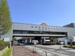 丰洲市场-IETS日本农产品供应链交流考察
