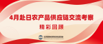 【交流考察】北京国际经贸标准化促进会4月赴日开展农产品供应链交流考察精彩回顾